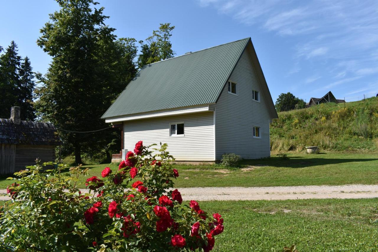 Joeniidu Holiday House Trolla 외부 사진