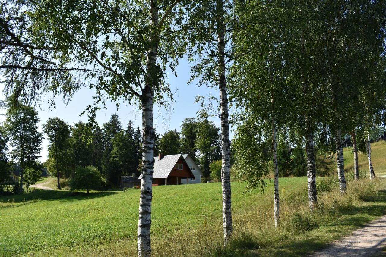 Joeniidu Holiday House Trolla 외부 사진